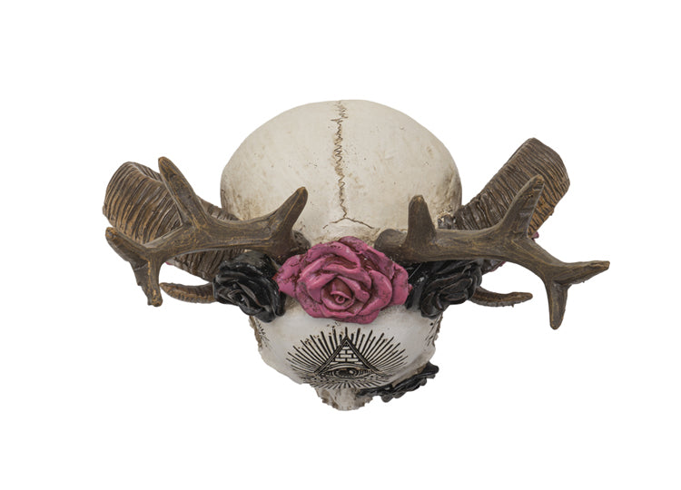 Wiccan Skull