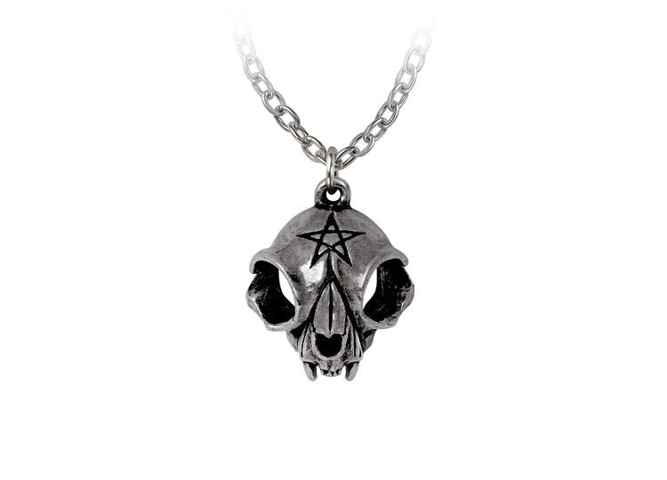 Alchemy England My Forever Friend Necklace Gothic Cat Memorial Heart Pendant - JP's Horror