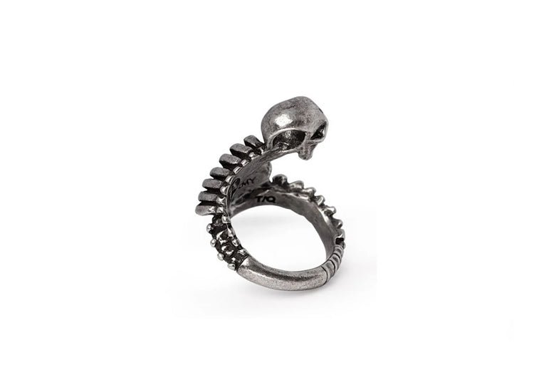 Alchemy England Resurrected Ring Gothic Skeleton Fine English Pewter Ring - JP's Horror