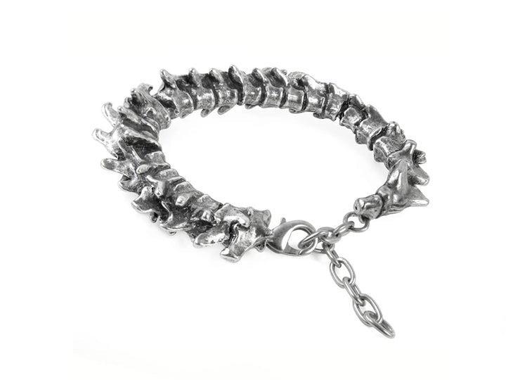 Alchemy England Vertebrae Bracelet Gothic Spine Pewter Bracelet - JP's Horror