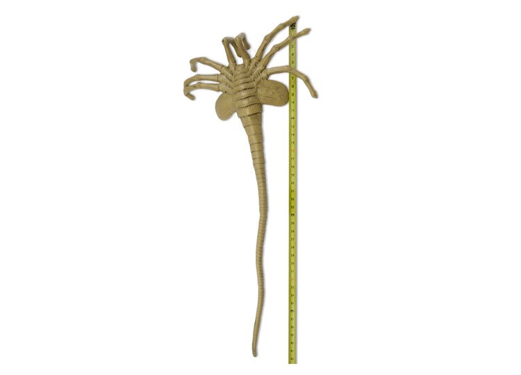 Alien – Facehugger Life-Size Foam Prop Replica - JP's Horror