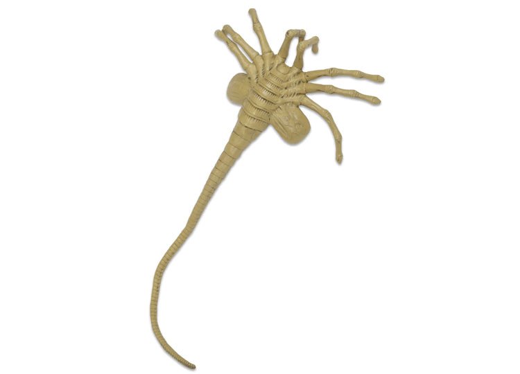 Alien – Facehugger Life-Size Foam Prop Replica - JP's Horror
