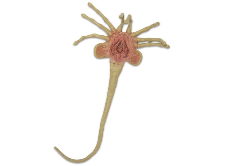 Alien – Facehugger Life-Size Foam Prop Replica - JP's Horror