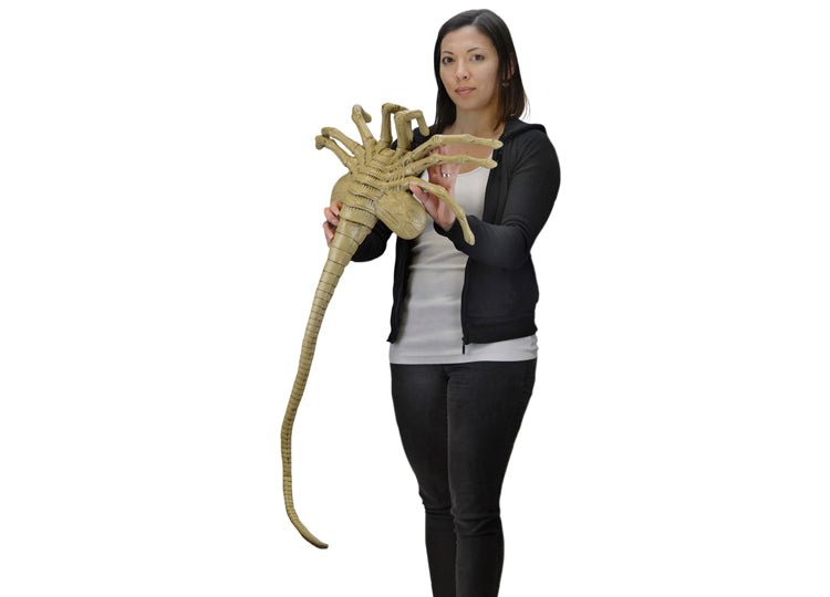 Alien – Facehugger Life-Size Foam Prop Replica - JP's Horror