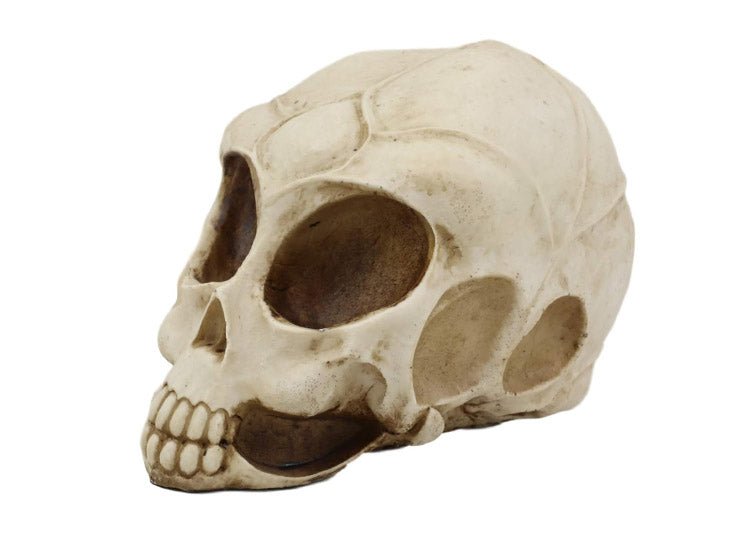 Alien Skull - JP's Horror