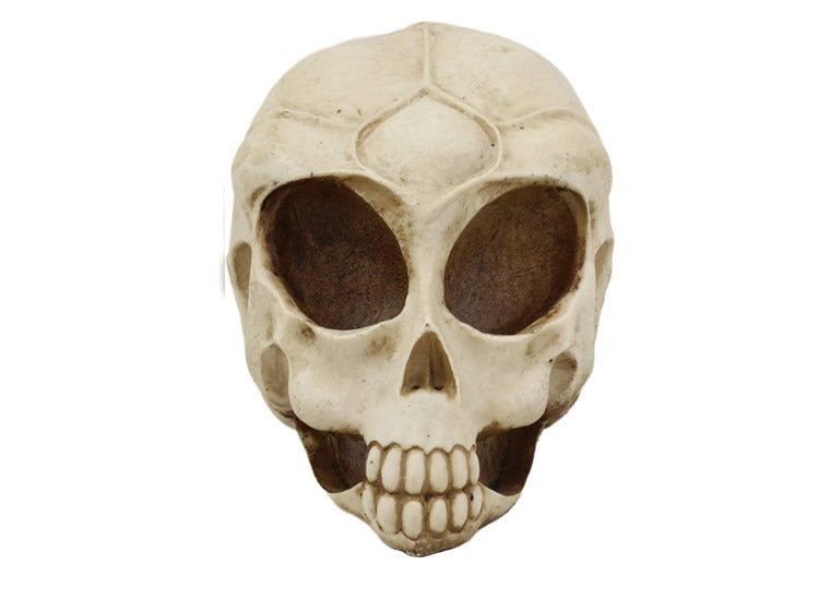Alien Skull - JP's Horror