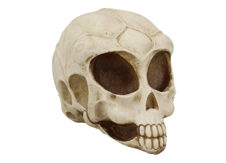 Alien Skull - JP's Horror