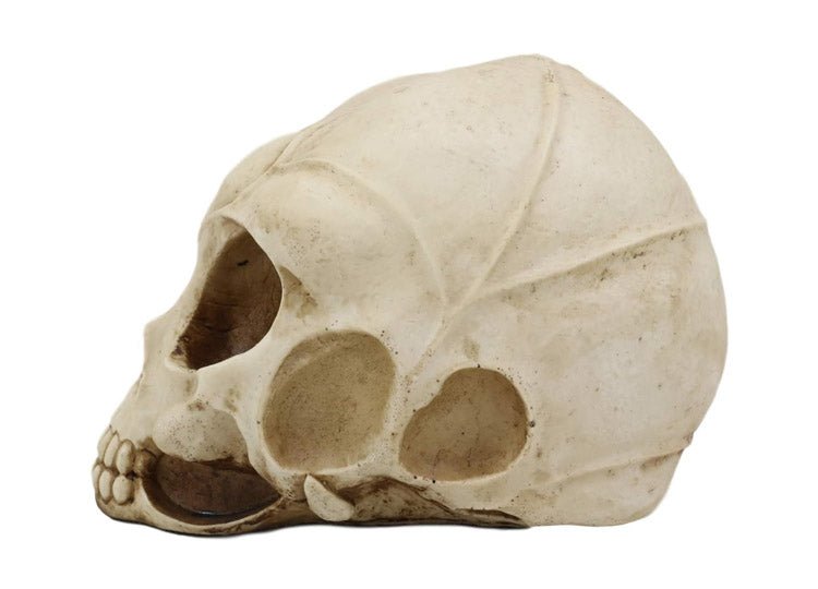 Alien Skull - JP's Horror