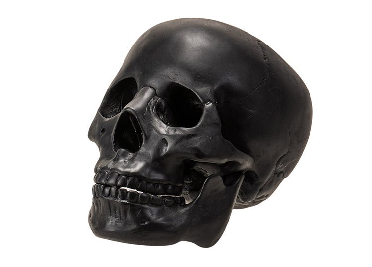 Black Skull with Moveable Jaw - JP's Horror