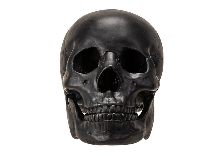 Black Skull with Moveable Jaw - JP's Horror