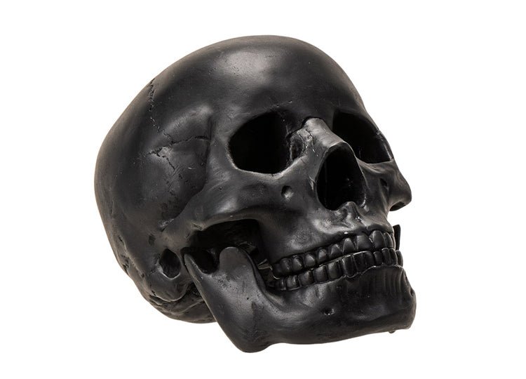 Black Skull with Moveable Jaw - JP's Horror