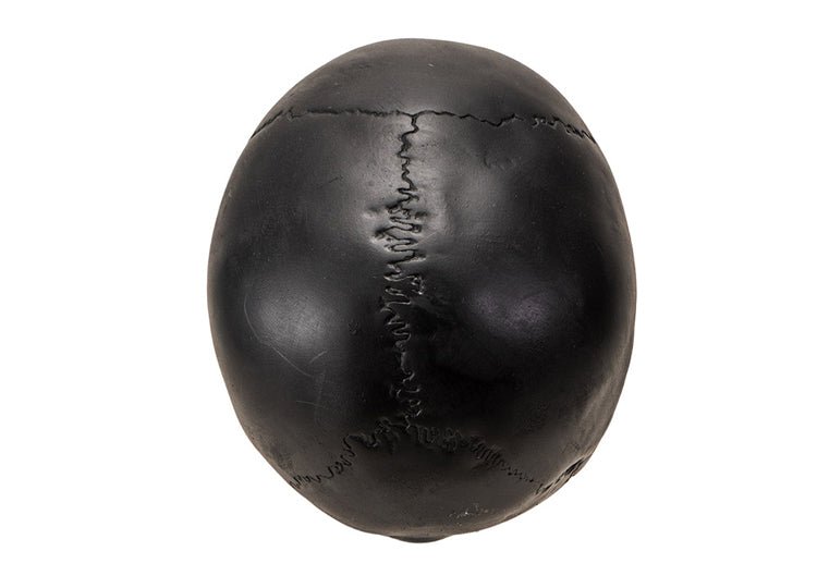 Black Skull with Moveable Jaw - JP's Horror