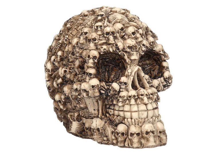 Boneyard Skull - JP's Horror