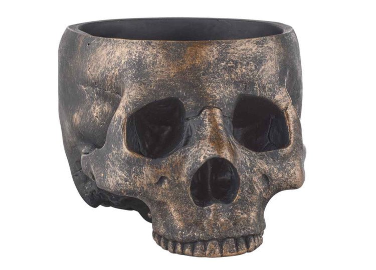 Bronze Skull Bowl - JP's Horror