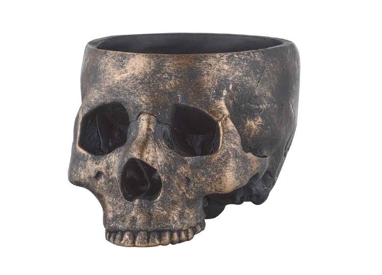 Bronze Skull Bowl - JP's Horror