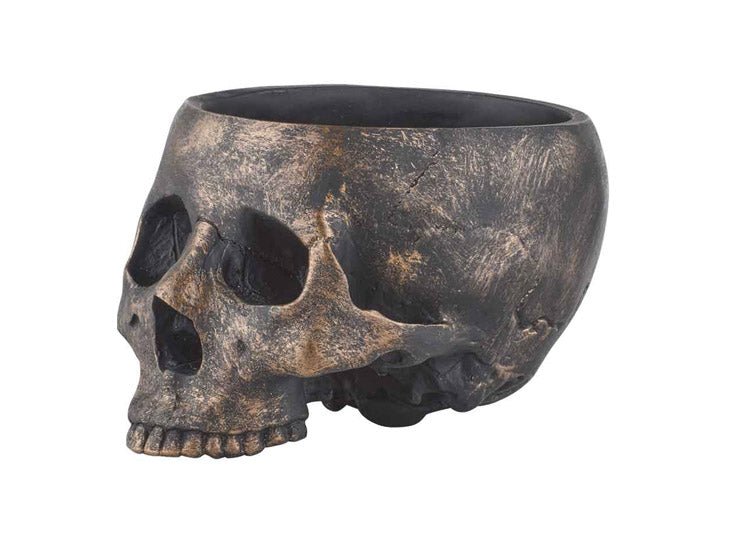 Bronze Skull Bowl - JP's Horror