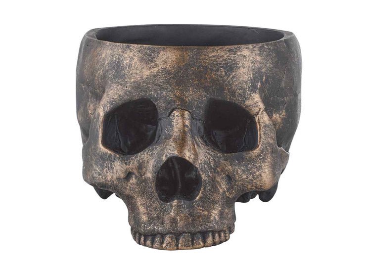 Bronze Skull Bowl - JP's Horror