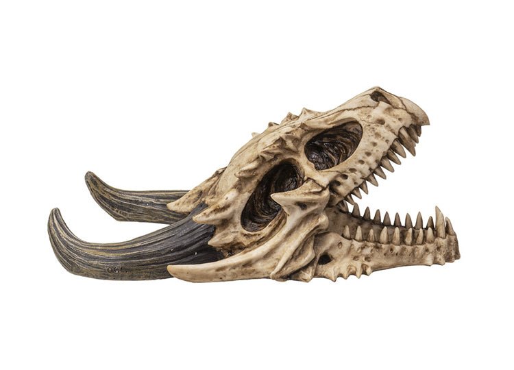 Dragon Wall Mount Skull - JP's Horror