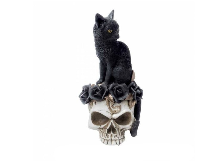 Grimalkins Ghost Cat on Skull - JP's Horror