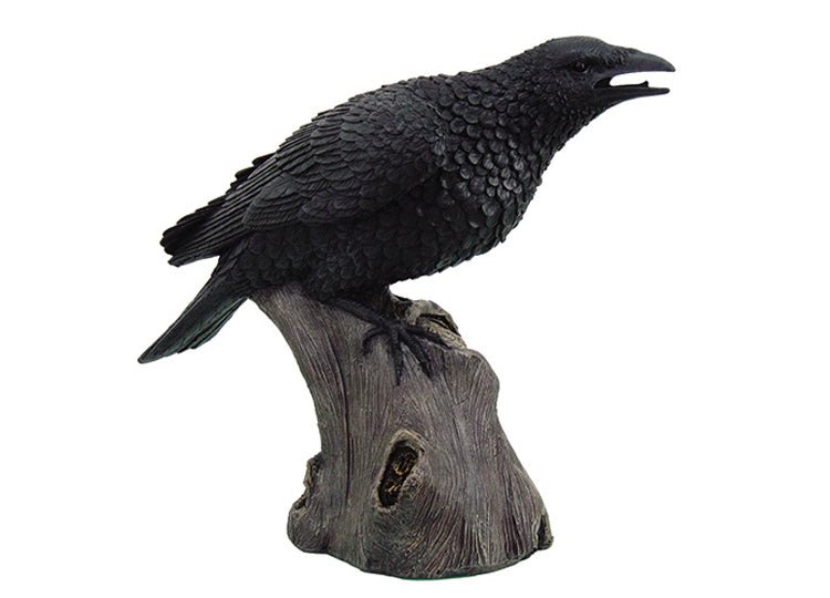 Large Raven - JP's Horror