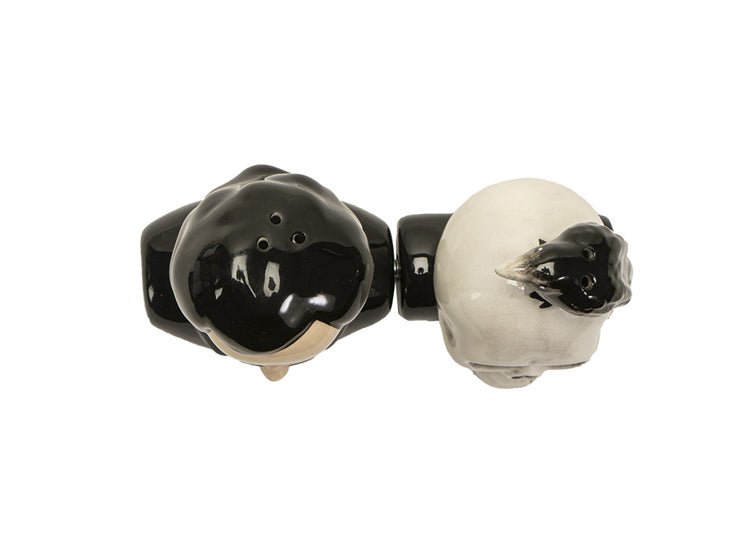 Poe’s Salt and Pepper Shakers - JP's Horror