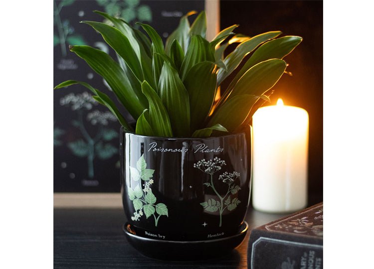 Poisonous Plants Planter - JP's Horror