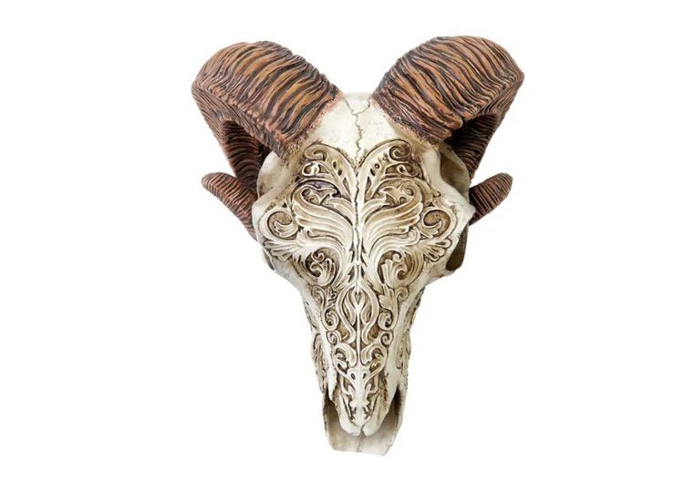 Scrimshaw Ram Skull - JP's Horror