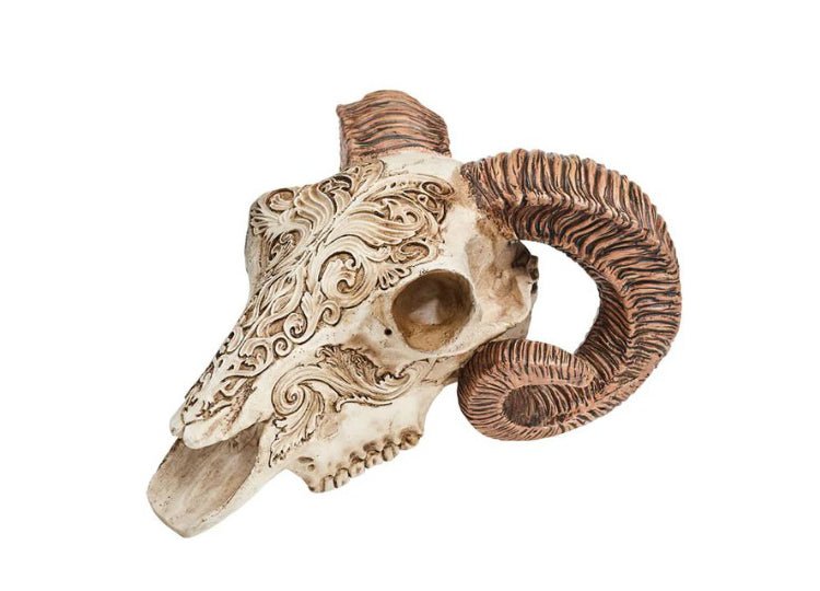 Scrimshaw Ram Skull - JP's Horror