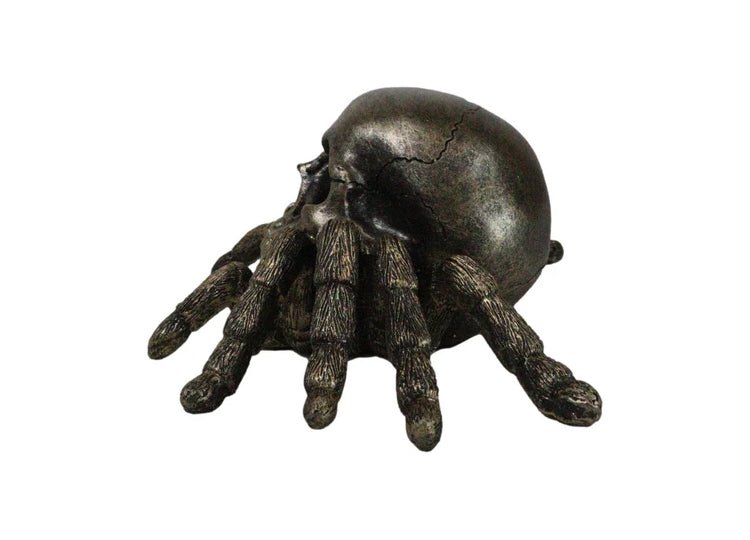 Spider Skull - JP's Horror
