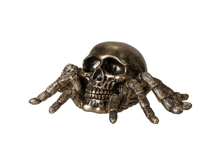 Spider Skull - JP's Horror