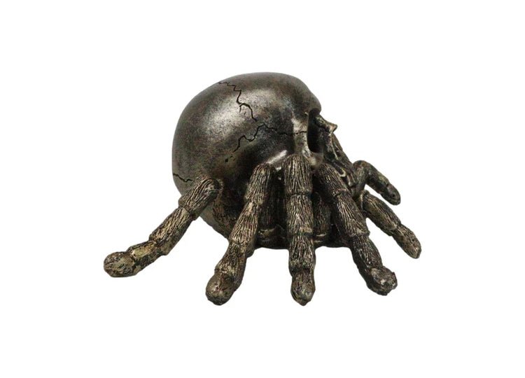 Spider Skull - JP's Horror