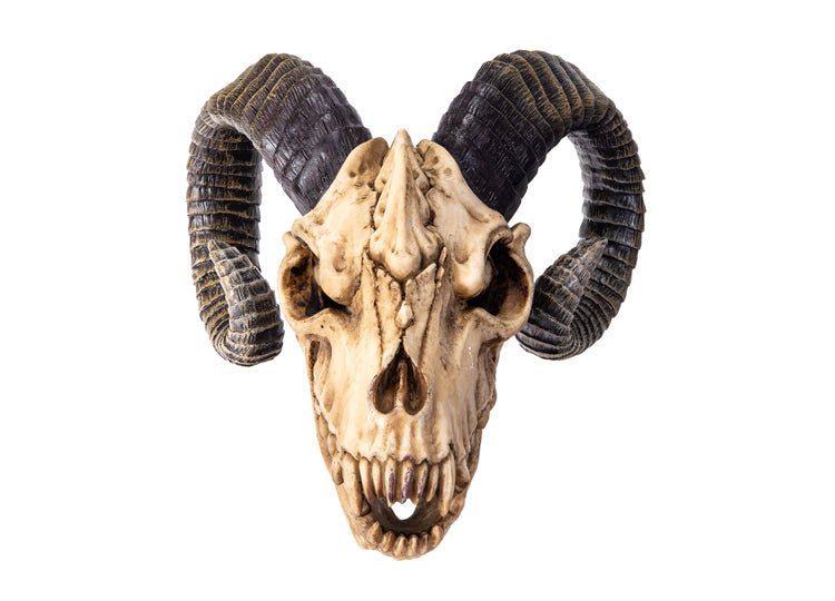 The Beast Skull - JP's Horror