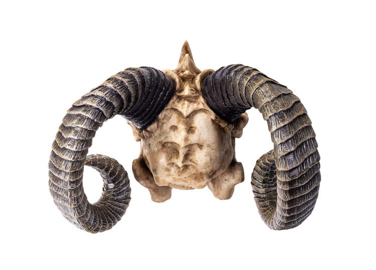 The Beast Skull - JP's Horror