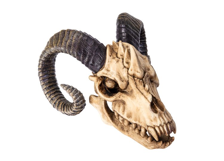 The Beast Skull - JP's Horror