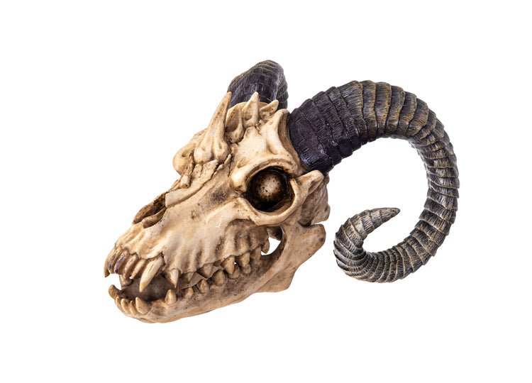 The Beast Skull - JP's Horror
