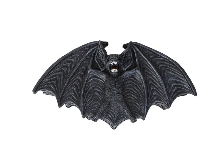 Vampire Bat Box - JP's Horror