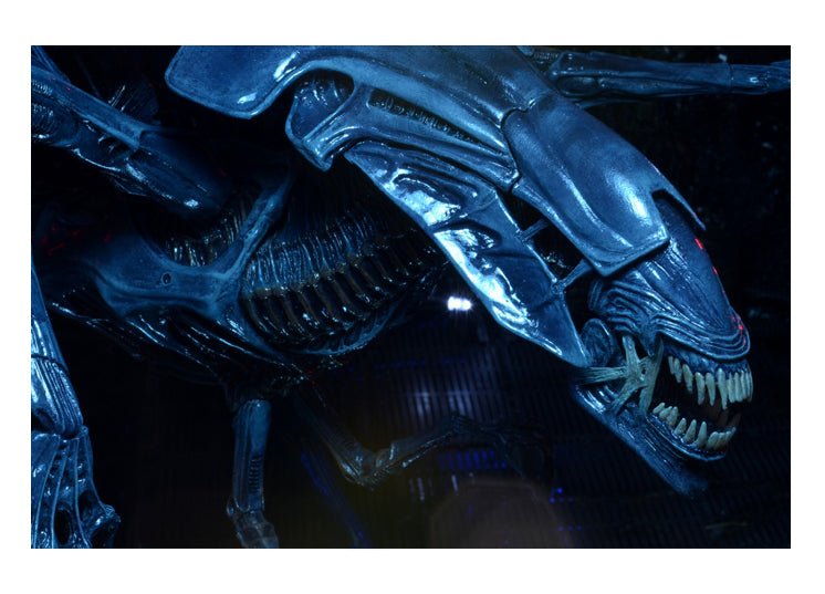 Xenomorph Queen Ultra Deluxe Action Figure - JP's Horror