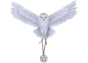 Awaken Your Magic Owl 1 - JPs Horror Collection