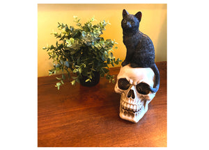 Black Cat on Skull
