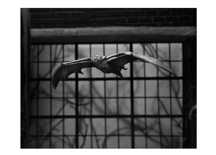 Dracula (Carfax Abbey) (B&W) 7" Ultimate 17 - JPs Horror Collection