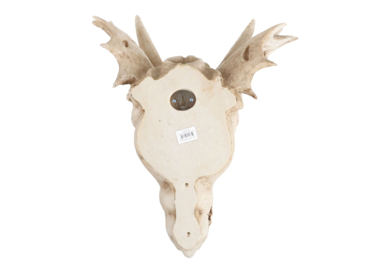 Dragon Skull (Medium) 8 - JPs Horror Collection