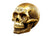 Egyptian Skull - Gold - Jps Bears