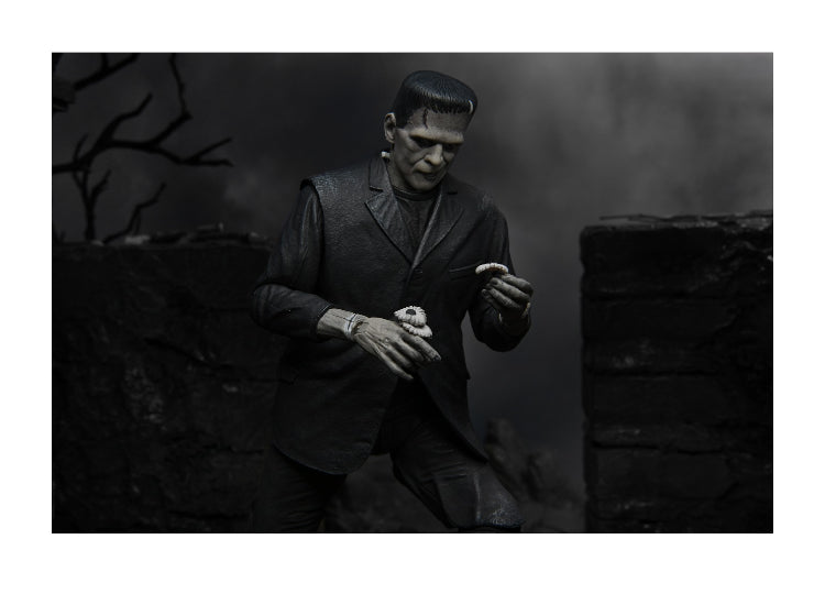 Frankenstein (B&W) 7" Ultimate 14 - JPs Horror Collection