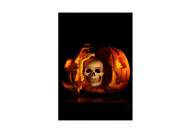 Michael Myers 7" Ultimate – Halloween 2 (1981) 10 - JPs Horror Collection