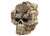 Montezuma Skull
