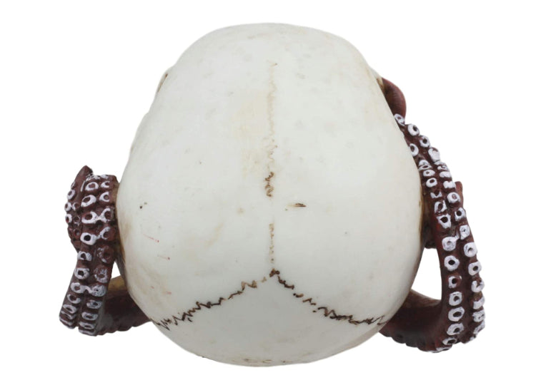 Octopus (Mouth) Skull 5 - JPs Horror Collection