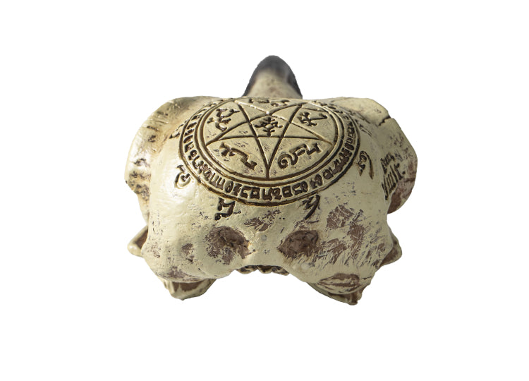 Omega Raven Skull 4 - JPs Horror Collection