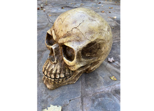 Oversized Skull 3 - JPs Horror Collection