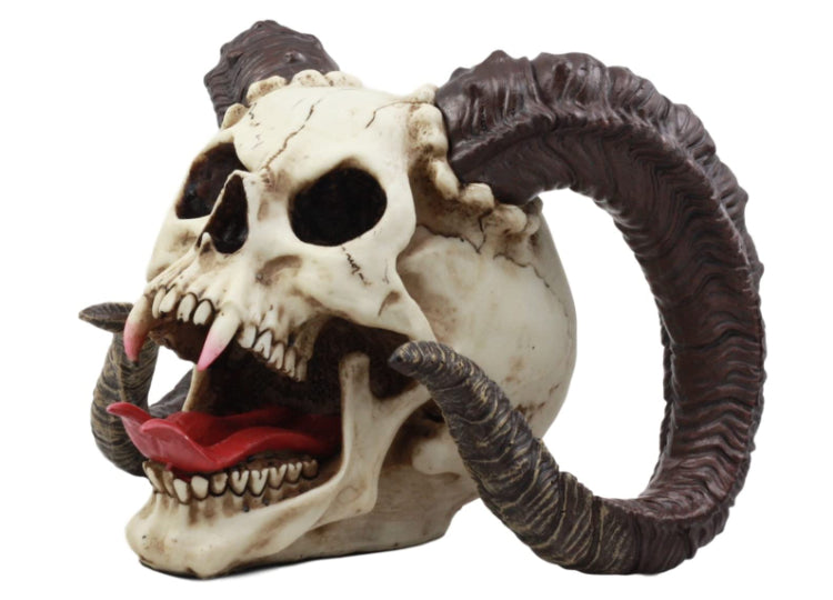 Ram Horned Skull