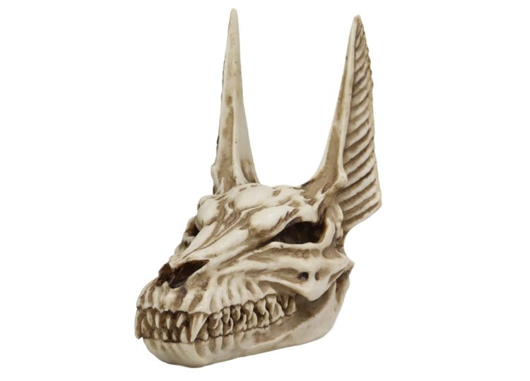 Anubis Skull - JP's Horror